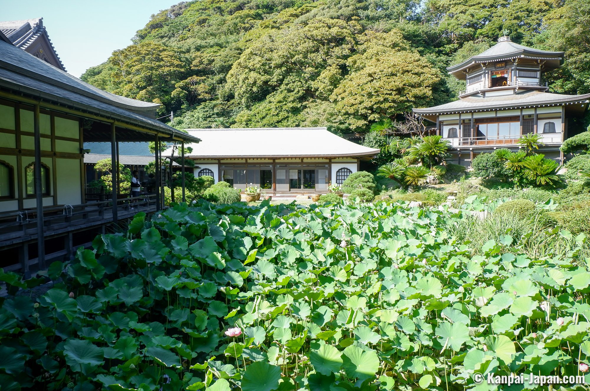⛩️ 천조산 연화원 광명사(텐쇼잔 렌게인 코묘지), 정토종 대본산 이미지 11
